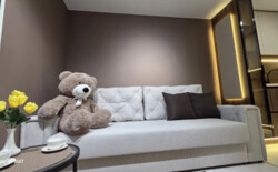 ������ 3� ��������, 55 ��.�, ���. ������� ���� 2