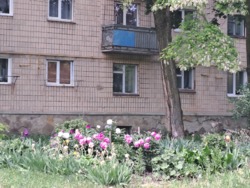 Продаж. Тернопіль. Бам. Вул 15 квітня .1 кім кв фото 2 Продаж. Тернопіль. Бам. Вул 15 квітня .1 кім кв фото 2
