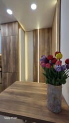 ������ 2� ��������, 50 ��.�, ���. ������� ���� 17