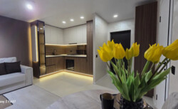 ������ 3� ��������, 55 ��.�, ���. ������� ���� 4