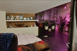 ������ 6� �������� 194 ��. � �� ���. ����� ֳ��� ���� 14