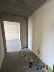 ������ 2 ʲ�����ί �������� �� ����ʲ������� ���� 12