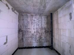 ������ 2-������� ��������, �. ��������� ���� 3