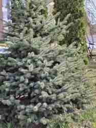 ������ 3 ������� �������� � �.��������� ���� 2