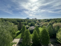 ������. 4 ������� ��������. ��������. ������. ��� к���. ���� 22