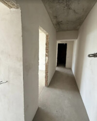  2-     (. )  2