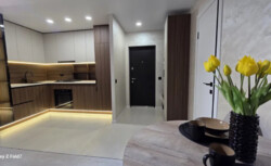 ������ 3� ��������, 55 ��.�, ���. ������� ���� 7