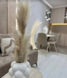 ������ 2� �������� 58 ��. � �� ���. ������� ���� 6