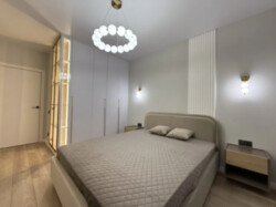 ������ 1� ��������,43 ��.�, ����������� Deluxe ���� 3