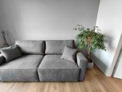 ��������� 2 ��. ������ �������� � ������� �� 2 ����, �� ������� ���� 20