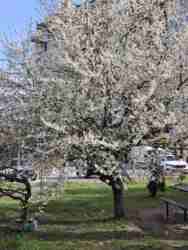 ������ 3 ������� �������� � �.��������� ���� 3