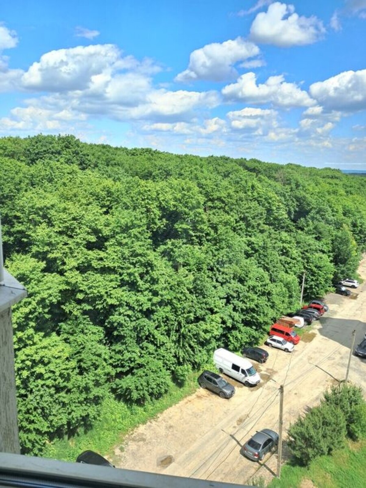 ������� 1-������� �������� � ������������� �� ������ ������� � �� Forrest ���� 1