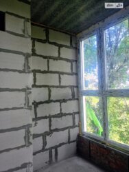 2-      .  ,  ! 🌿  5