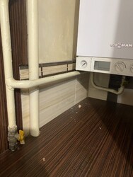 ������ 2� � �������� �������� ���� 7