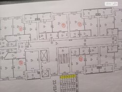 🌍  ''  1-      !  1