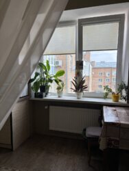 ✨ ��������-����������� �� ����������: ��� ������� �� ��������� ����������! ���� 22