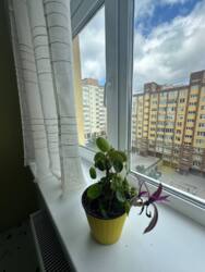 🏡  2-     . ! 🌟  18