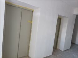 2-       ' Family'  12