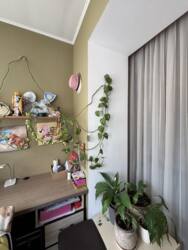 ✨ ��������-����������� �� ����������: ��� ������� �� ��������� ����������! ���� 16