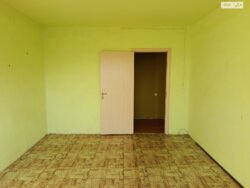 ✨ �������� �� ������� 3-������� �������� � ��������� ���� ��� ���� ������! ✨ ���� 12