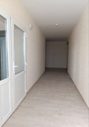 �������� ֲ�� �� �����! ���� �������� �������� ²� ����ػ! 🚨 ���� 5