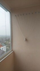 🏙️ ��� ������� �� ���� ������������! ����� 3� �������� �� �������� ✨ ���� 9