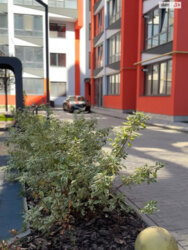 🏠 Dream Park  ,       ! ✨  6