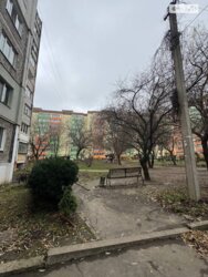 �������� 3-������� �������� � ����������� �������� �� ������ ������, 2! ✨ ���� 6