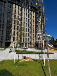 🌇 �������� ���� �� � �� Harmony! ���� 10