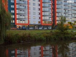 🏠 Dream Park  ,       ! ✨  10