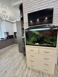 �������� �� �������� � ������� �� ������� ✨ ���� 6