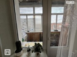 ��������� �������� ������������, ����������� ���� 12