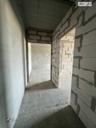 ��������� �������� �����������, ������������, �����������, ������ ���� 5