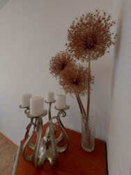  3- !  8