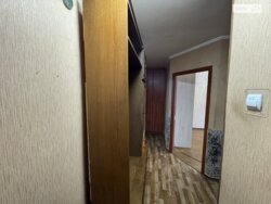 ✨ ��� ����� � �������� ����: ����� 2� �������� � ϳ������-��������� ������! ���� 5