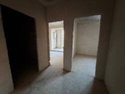 1-  +    '' () 🌳  1