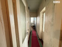 ��������� �������� �����������, ������������, ��, ��� ������������ ���� 11