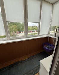 ��������� �������� ��������� ,�����, 176/1, ������������, �����������, ������ ���� 9