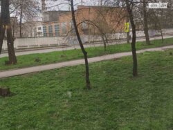 🌳 ����Ҳ� �� ������� ��� ���ί ������! 3� �������� �� ������������ 🏢✨ ���� 6