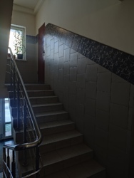 ������, ���� ������ ���� 31