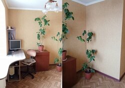 ��������� �������� ����������, 52, ������������, �����������, �������� ���� 2