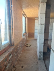 ������, ���� ������ ���� 41