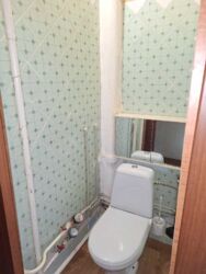 1-     , . ! 🌳✨  7