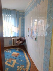 1-     , . ! 🌳✨  5