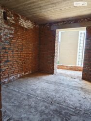 ✨ ���-ֲ�� � �� ARGO! 🏢💎 ���� 8