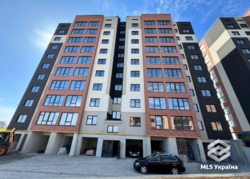 �������� 1-������� �������� � �� *Avila City*, ����� ������!** 🔥 ���� 2