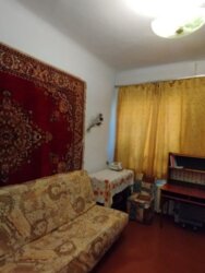 ✨  3-     ! 🌳  3