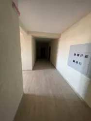 2-    ()    11