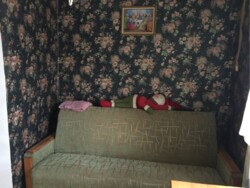 🌟    1- ,      ! 🌟  3