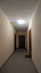 1-������� ��������, ������������� � 2-������� � ���� ��������� ���� � �������! 🌳✨ ���� 12